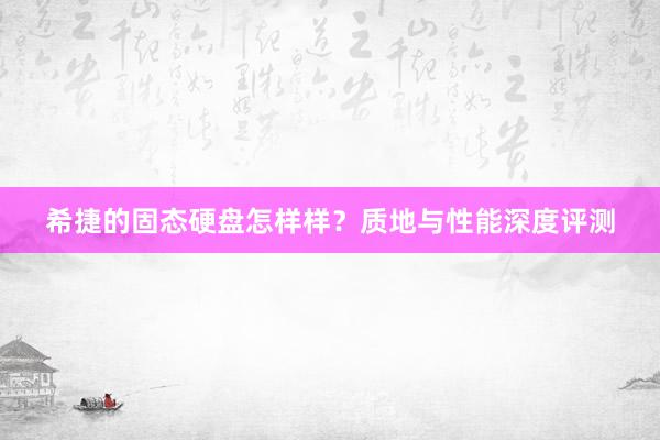 希捷的固态硬盘怎样样？质地与性能深度评测